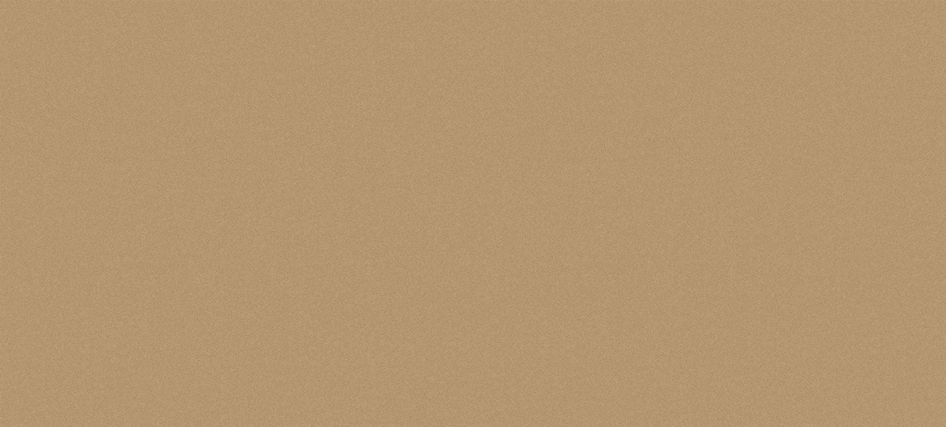 GINFER TAN